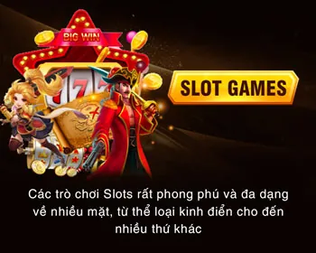 Hình ảnh định vị thương hiệu bayvip win